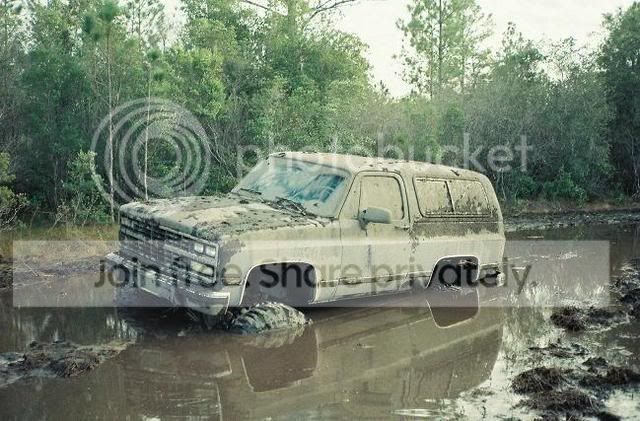 Swamp1.jpg