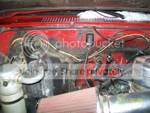 Picture005-1.jpg