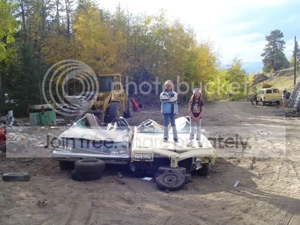 carCrush026600x450.jpg
