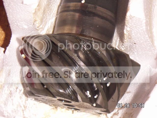 PICT0166.jpg