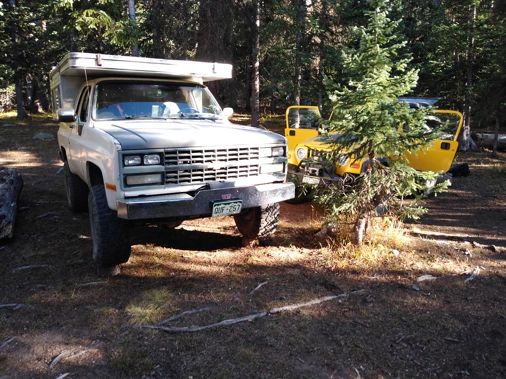 43063772660_f46e9e5b5a_b.jpg