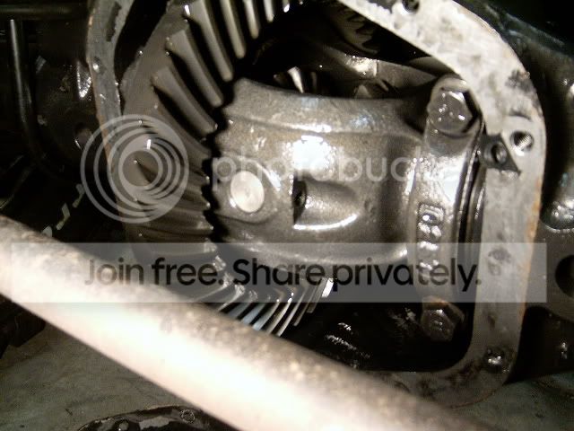 Picture177.jpg