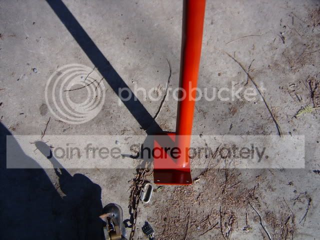 cage2.jpg