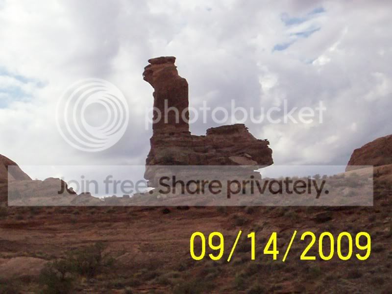 100_1638.jpg