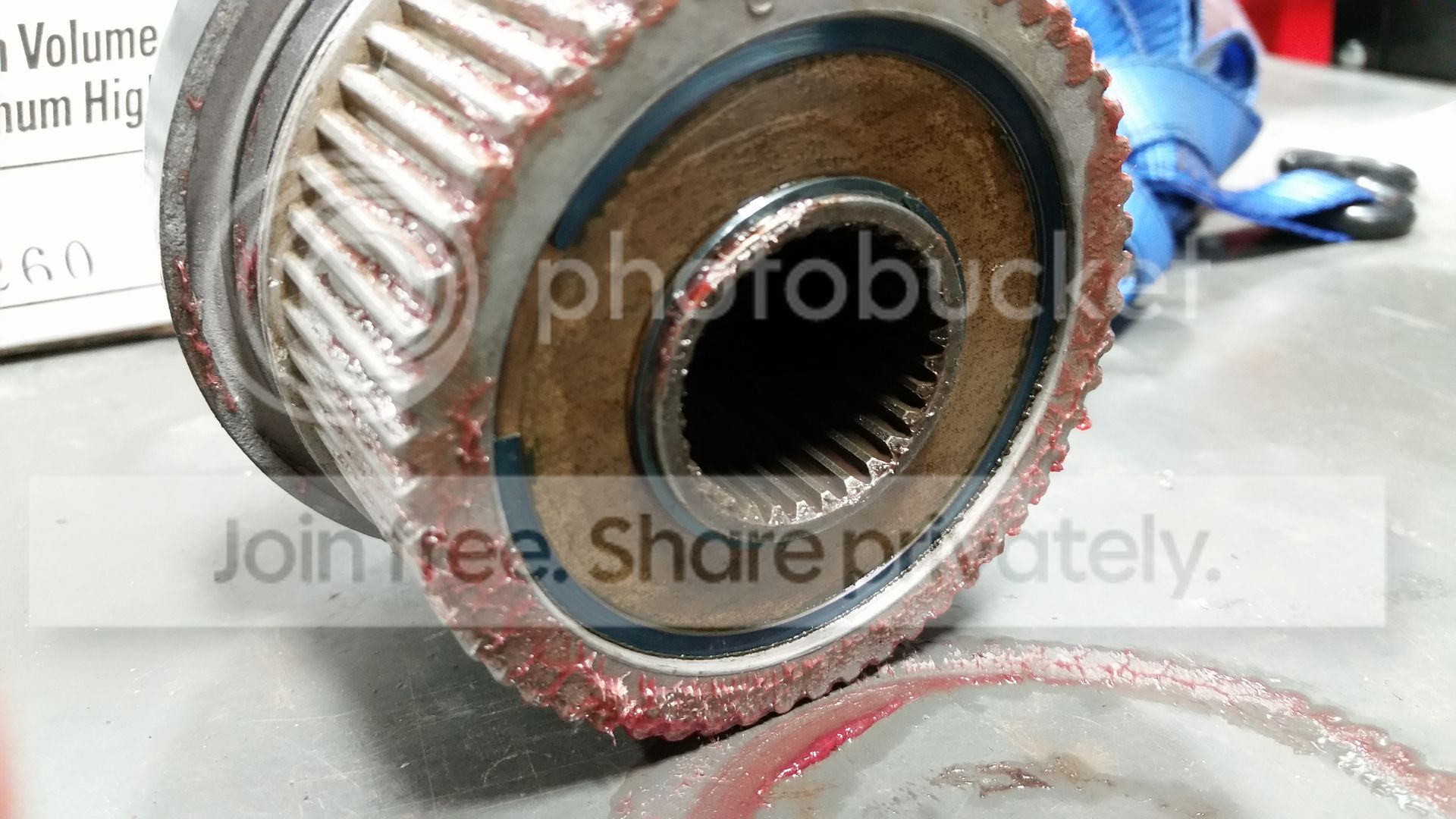 20160401_072128_zps8evm5lvc.jpg