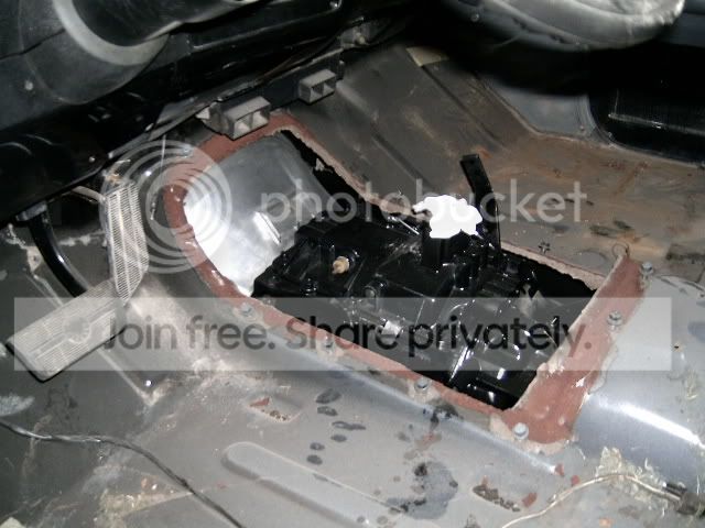 Picture199.jpg