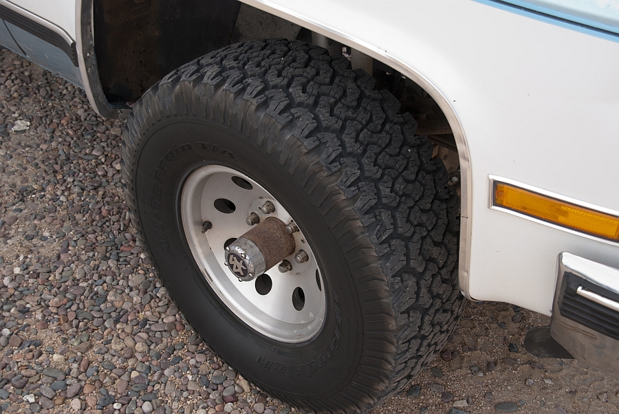 mule2-011.jpg