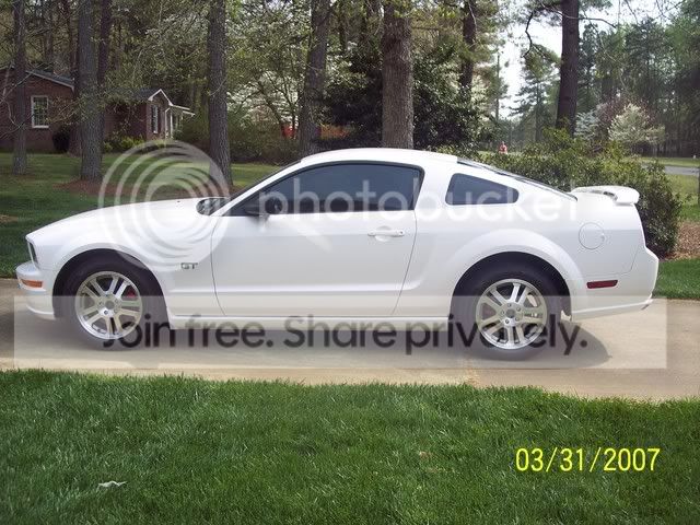 Mustang1.jpg