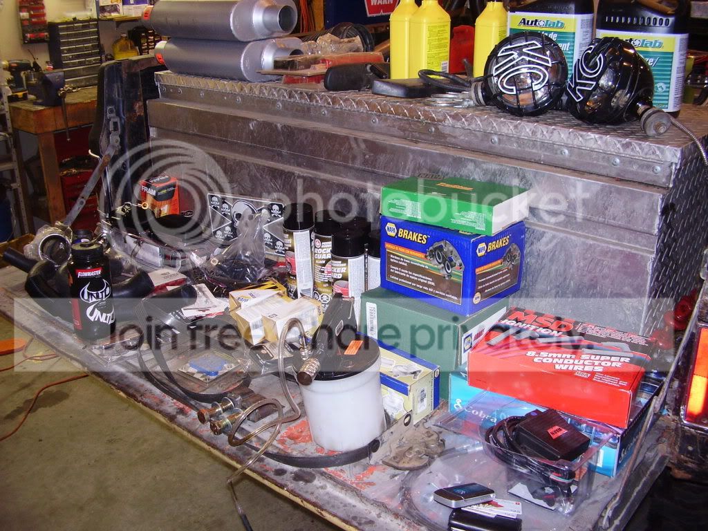 P1010799-1.jpg