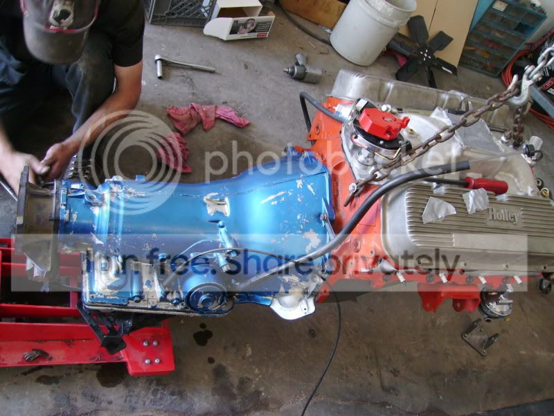 PICT0163.jpg
