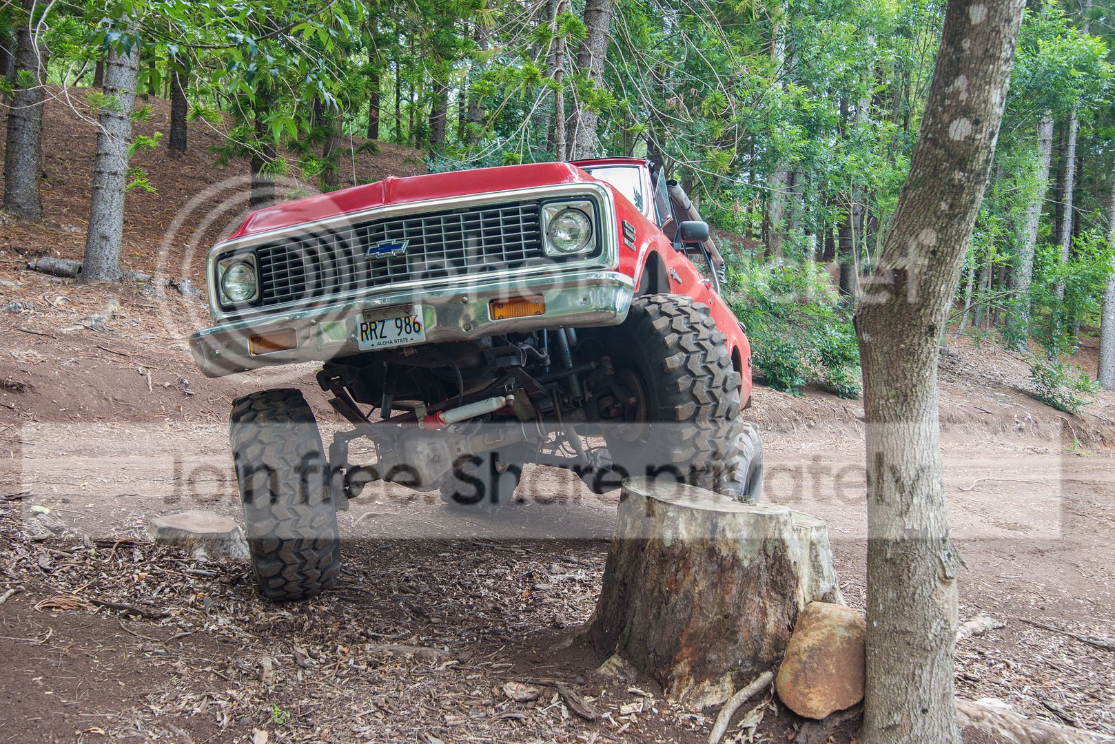 DSC_1105.jpg