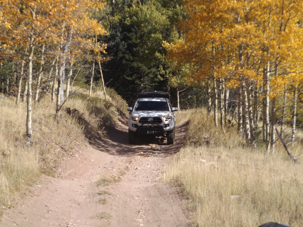 48856584256_700bfac6e3_b.jpg