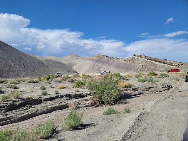 52199889529_0c79e342cc_z.jpg