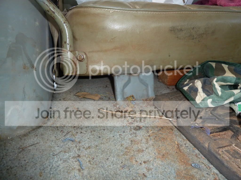 AAA277031.jpg