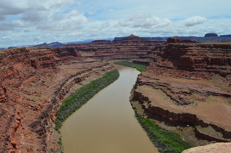 17980768802_f502415953_c.jpg