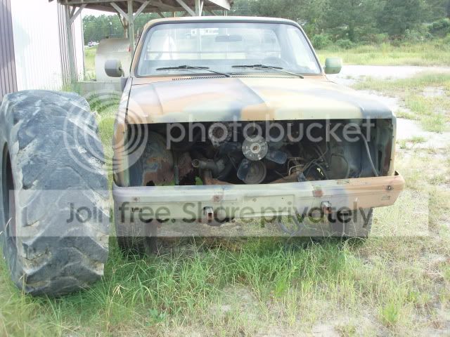 Picture037.jpg