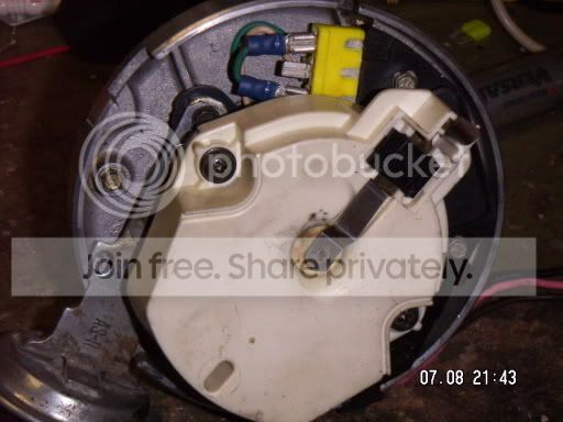 PICT0029.jpg