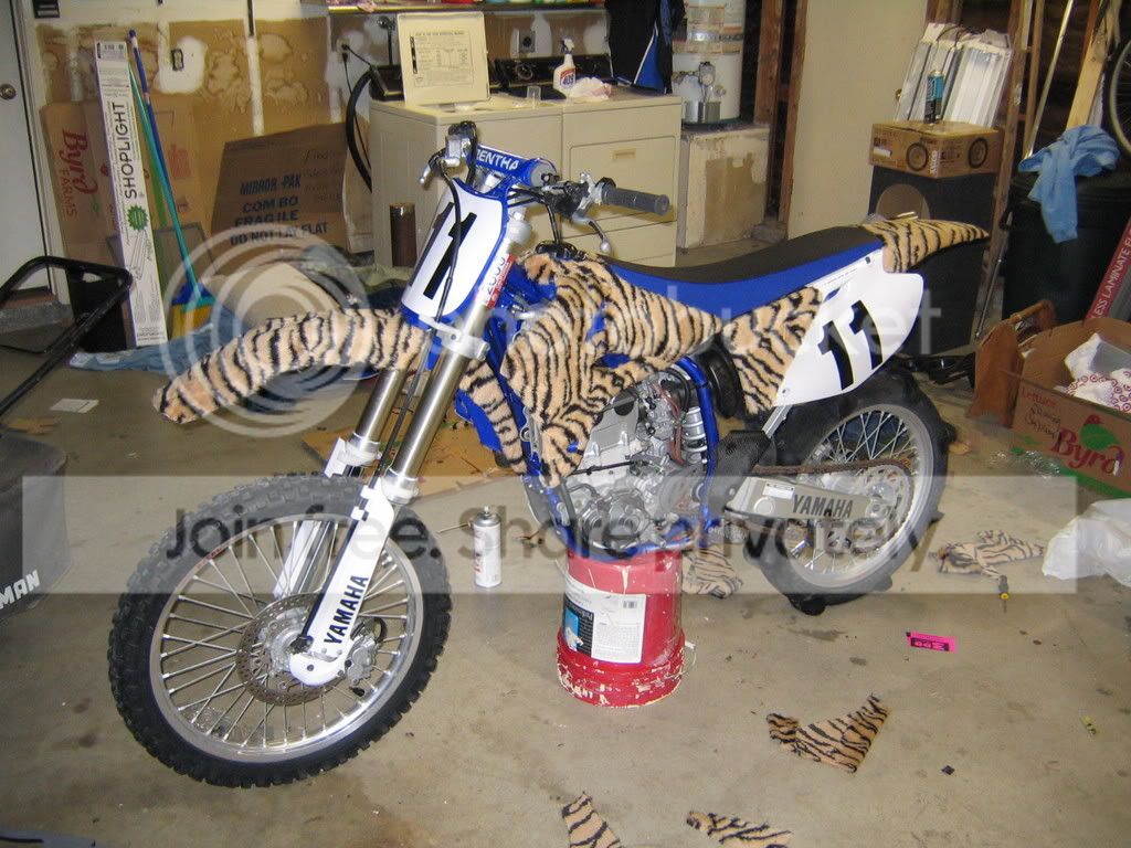 Jan05014.jpg