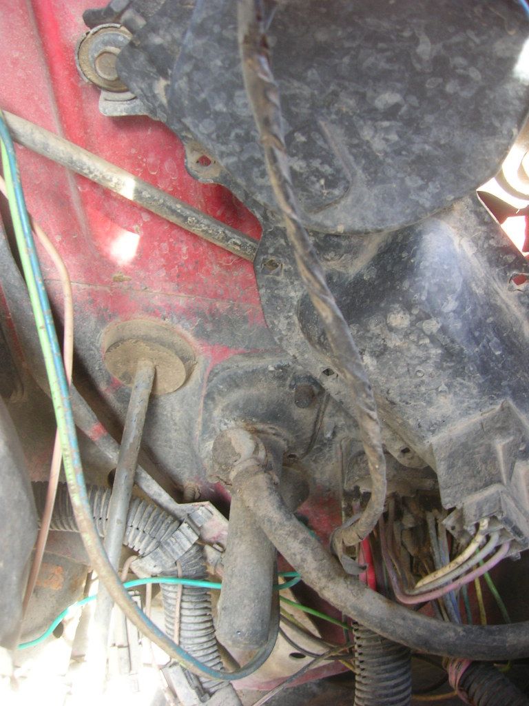 DSCN9679.jpg