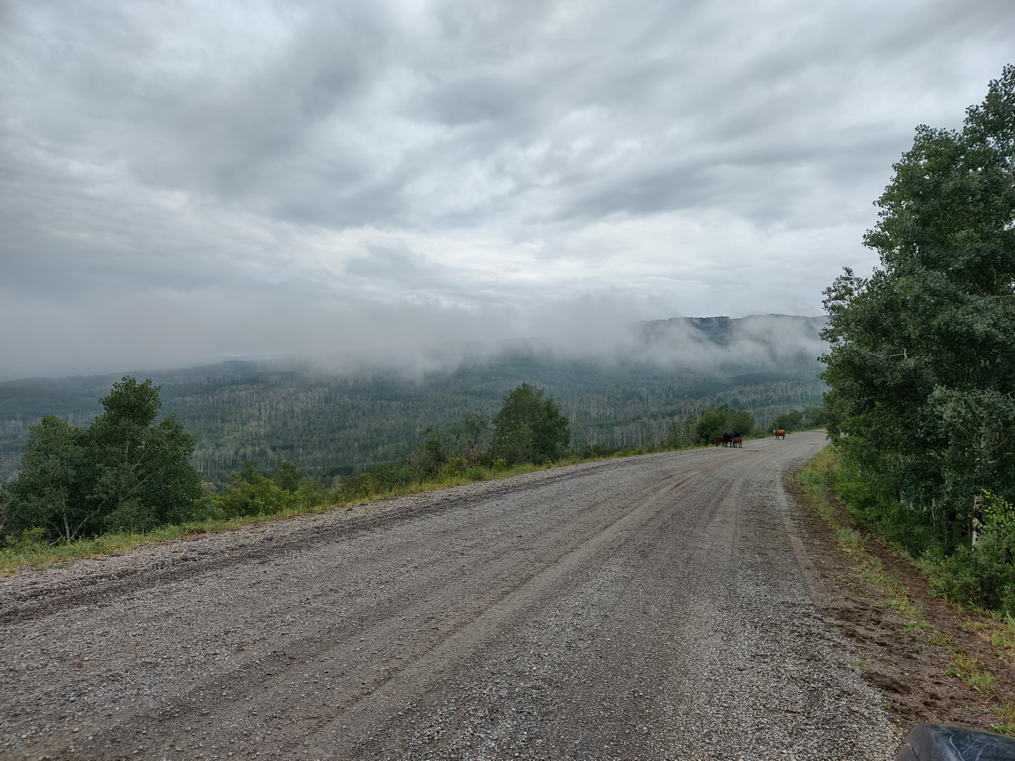 IMG_20210714_130631969_HDR.jpg