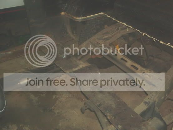 gut4.jpg