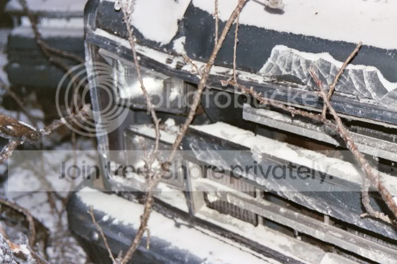 004_1.jpg