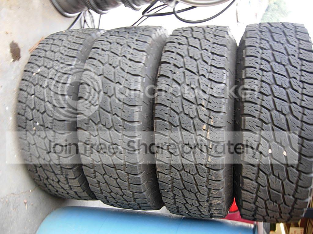 nitto1.jpg
