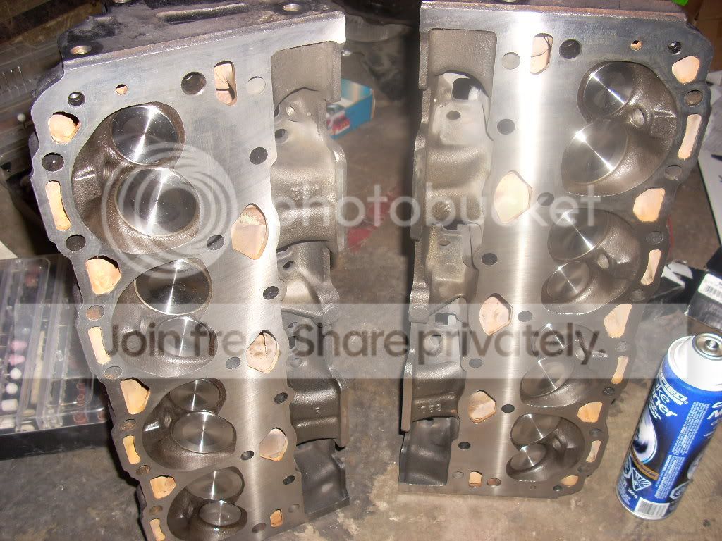 DSCN1559.jpg