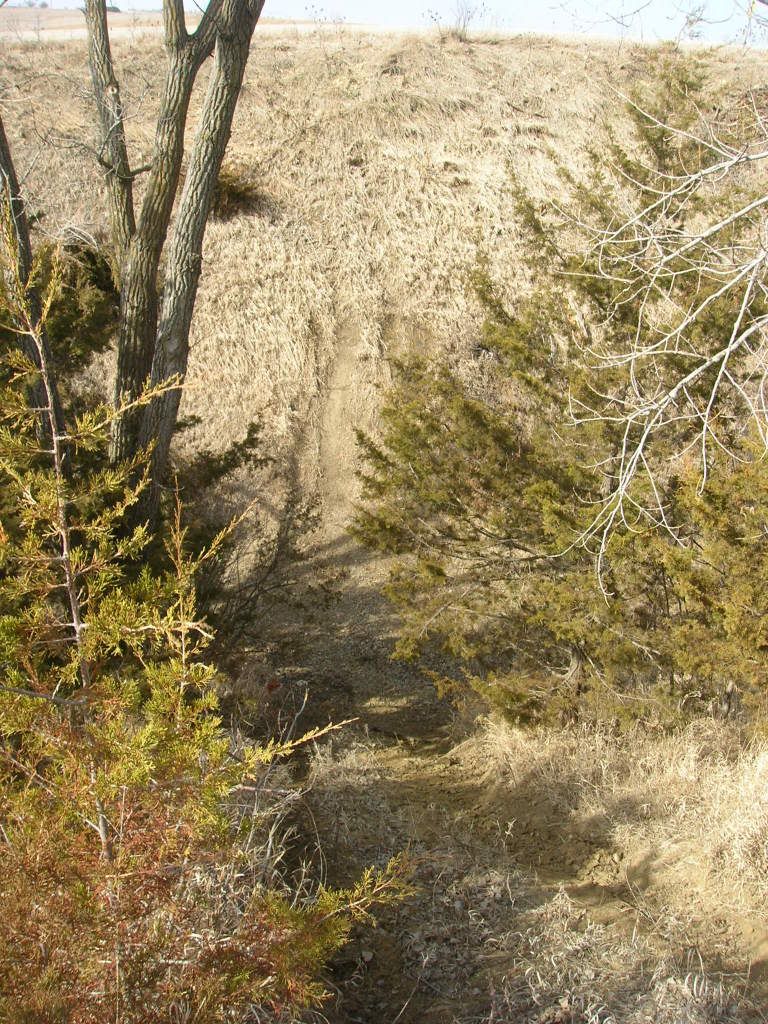 Picture014.jpg