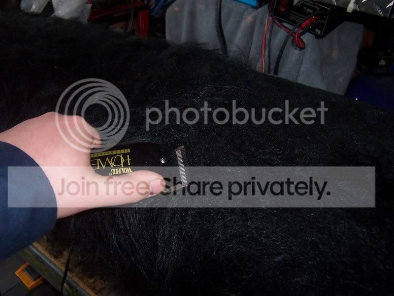100_5765.jpg