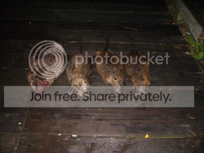 PICT1461.jpg