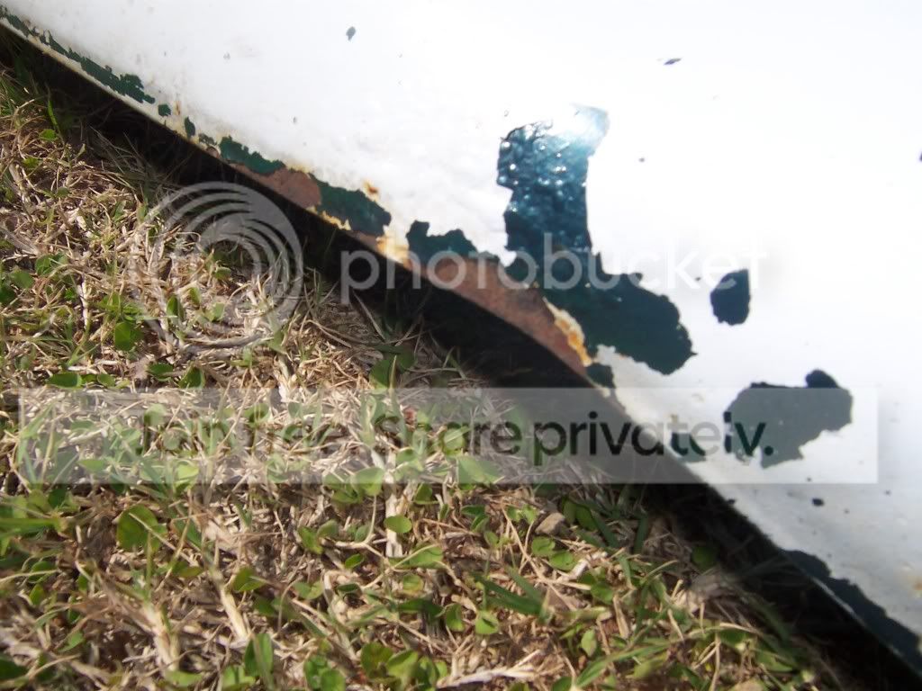 100_6881.jpg