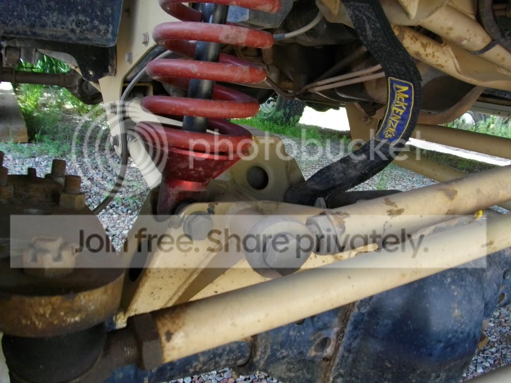 IMGP0008.jpg