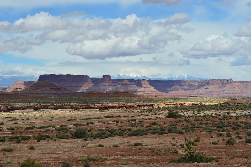 17798714649_5c2d660a73_c.jpg