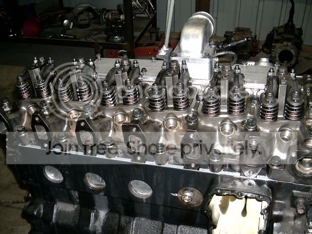Picture127.jpg