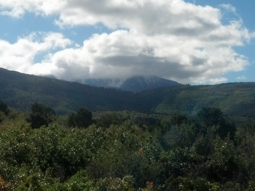 IMG_20130923_103122_919.jpg