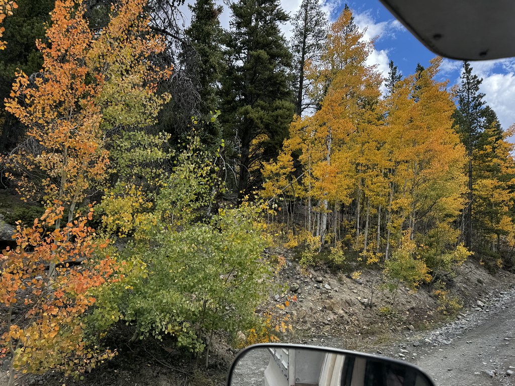 54031443784_72096d5942_b.jpg