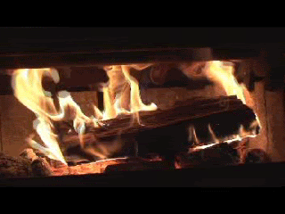 Gif-Test-352x240-1.gif