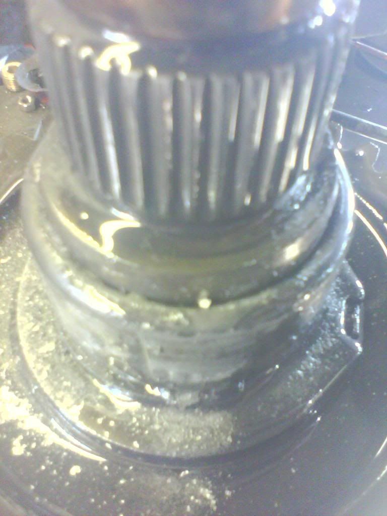 IMG0104A.jpg