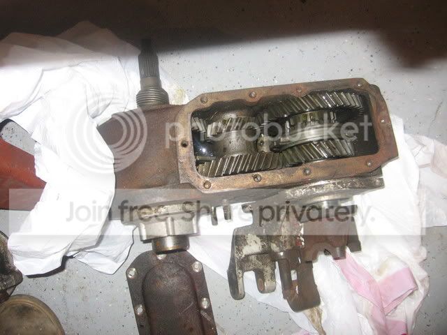 Dana300.jpg