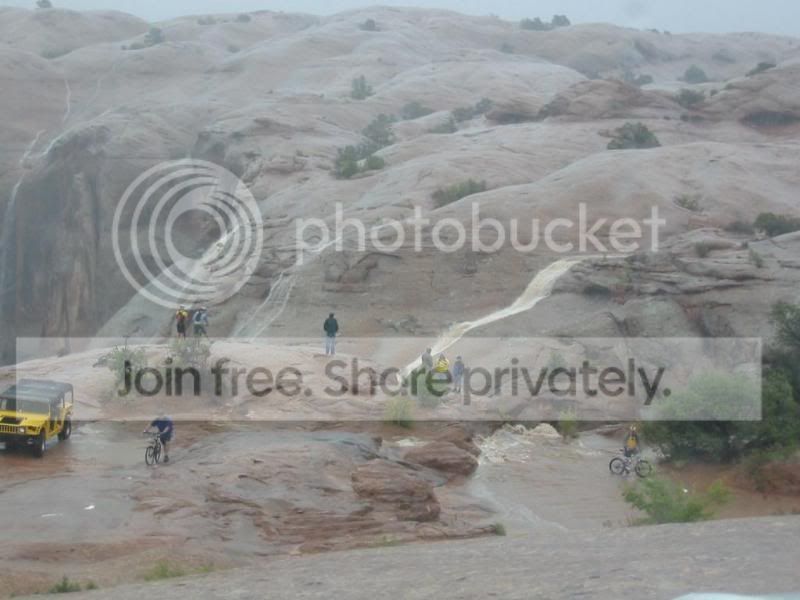 111-1175_IMG.jpg