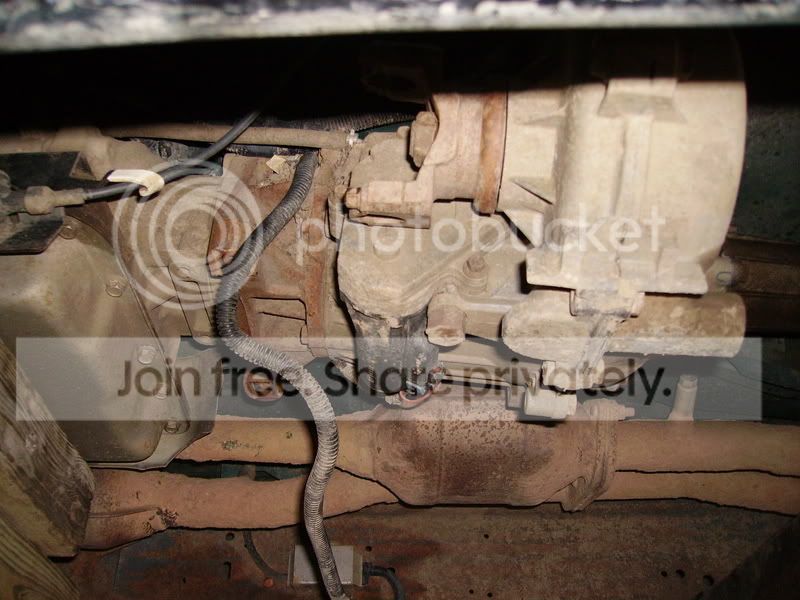 PICT0943.jpg