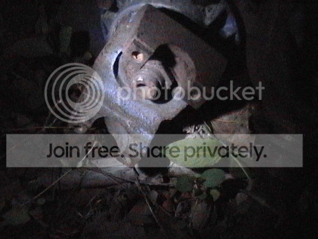 008-1.jpg