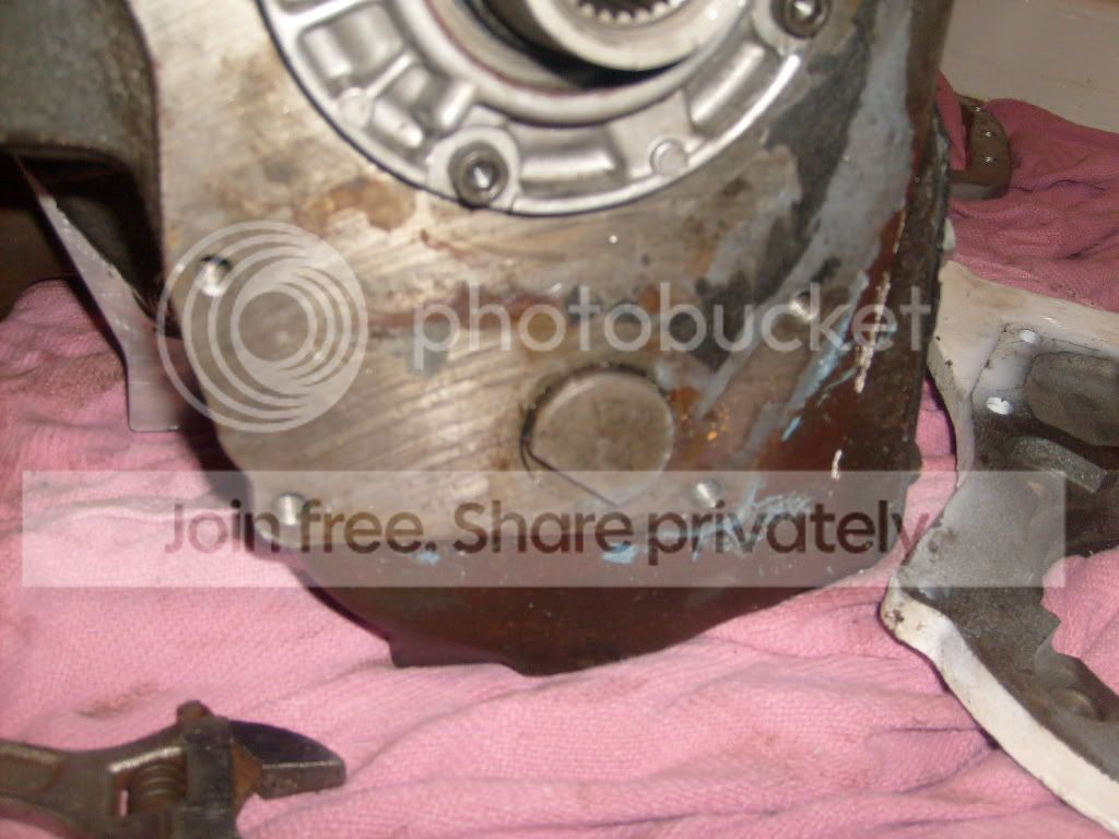 S6302999.jpg