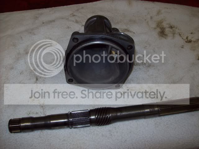 Picture095.jpg