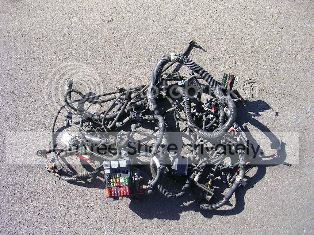 DSCN3089.jpg