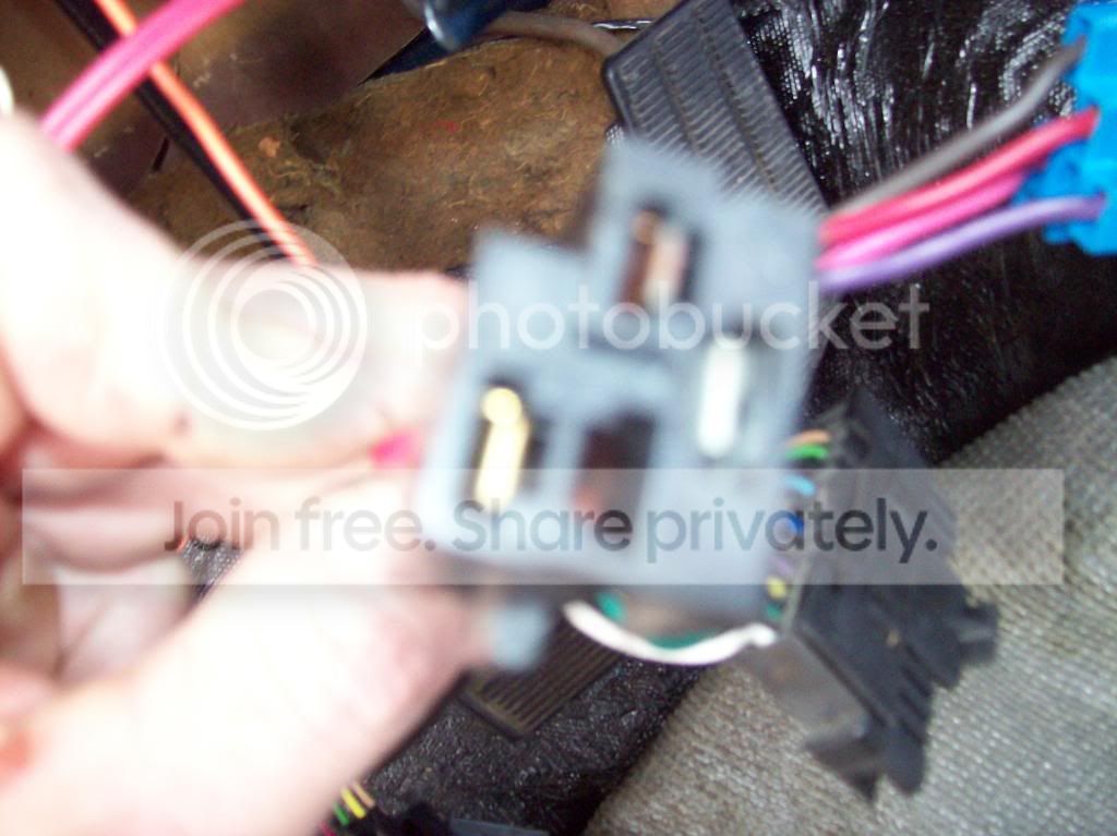 100_1180.jpg