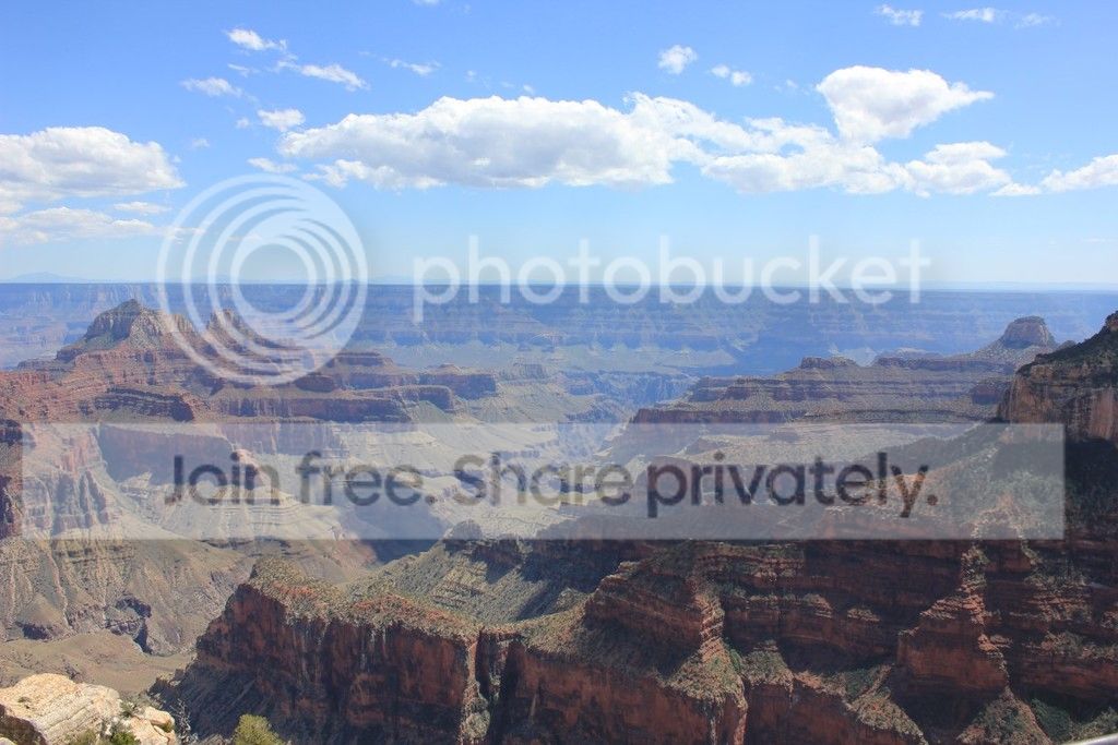 IMG_0049_zpswl1xdqk2.jpg