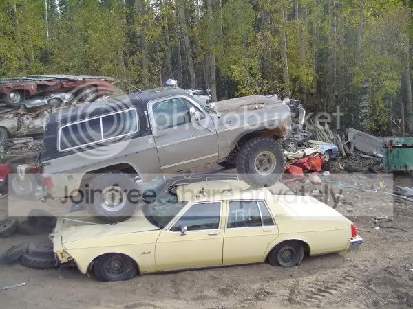 carCrush009600x450.jpg