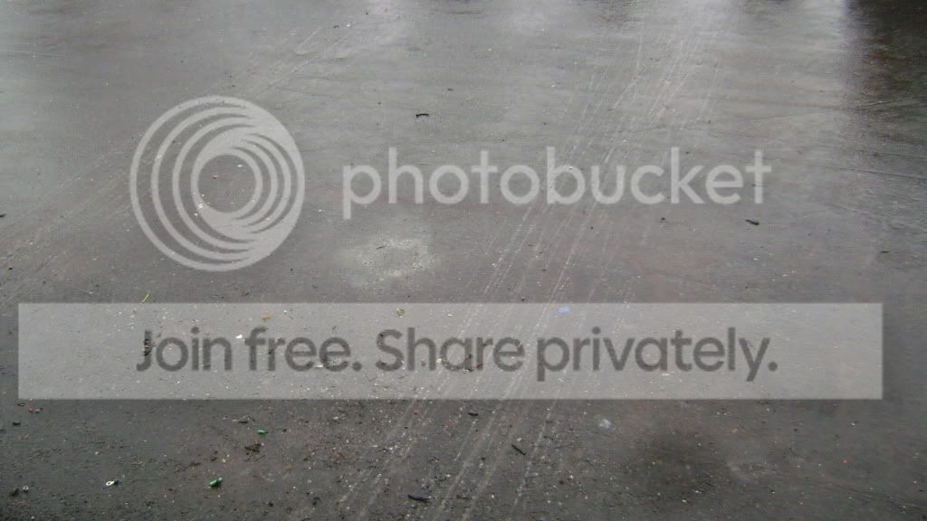 DSC01231.jpg